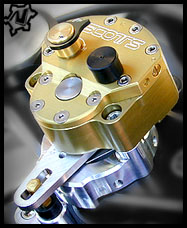 2008/2009/2010 BMW F 800 GS  SCOTTS STABILIZER KIT